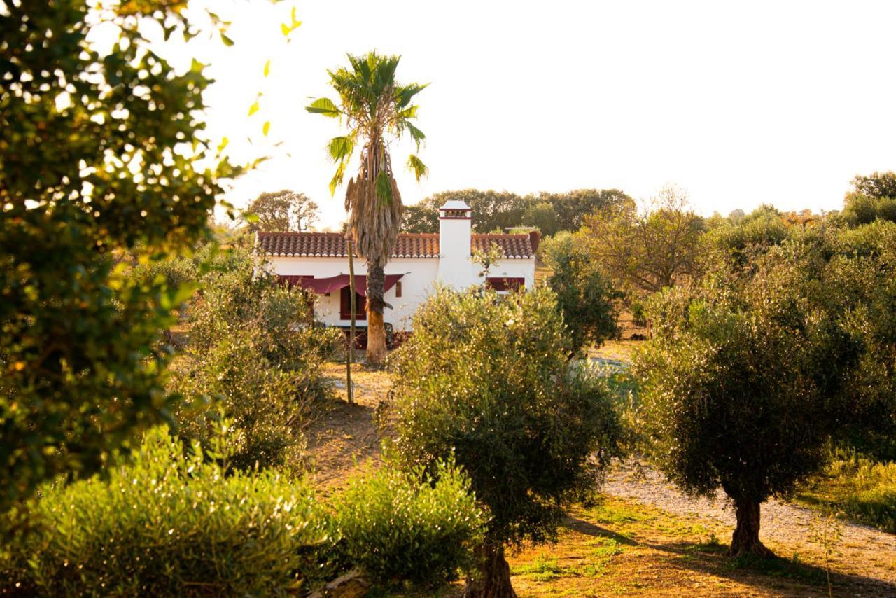 Monte Da Coelha Al Hotel Redondo Luaran gambar